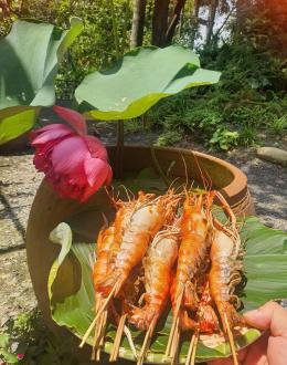 Tôm càng sông nướng mọi