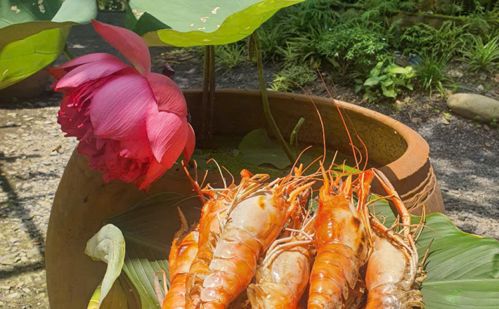 Tôm càng sông nướng mọi